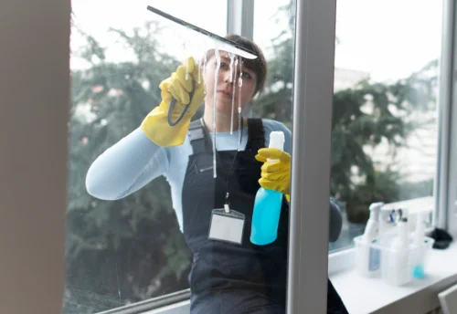 Nettoyage de vitres intérieures et extérieures à Sandillon